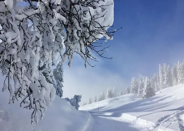 Апартаменты Modern Apt, Swimming Pools, Wellness & Tennis *