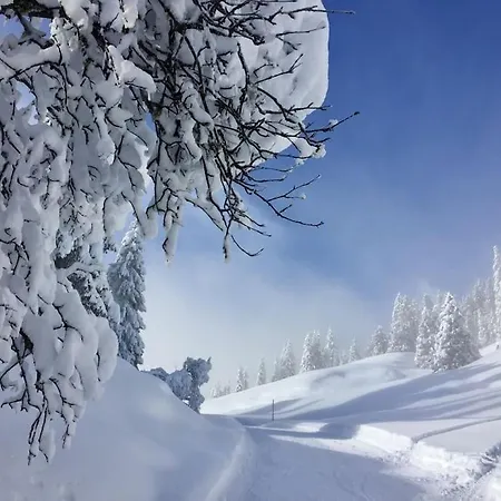 Appartamento Modern Apt, Swimming Pools, Wellness & Tennis *